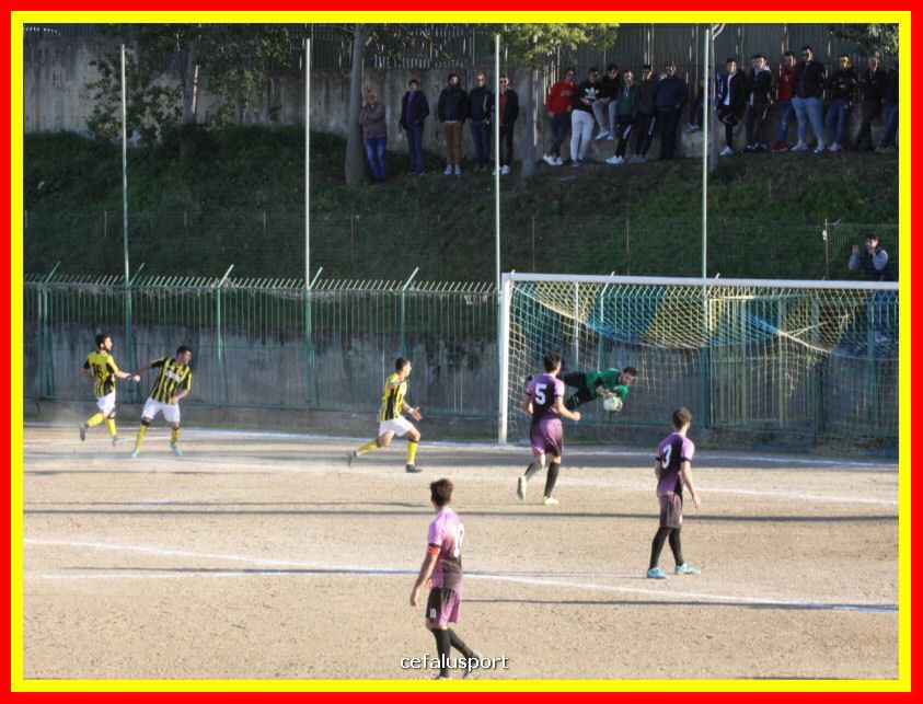 190310 Cephal_Torrenov 201_tn.jpg
